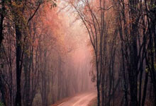 网上买股票怎么开户流程:炒股哪个平台好-纪念中国人民抗日战争暨世界反法西斯战争胜利80周年大会